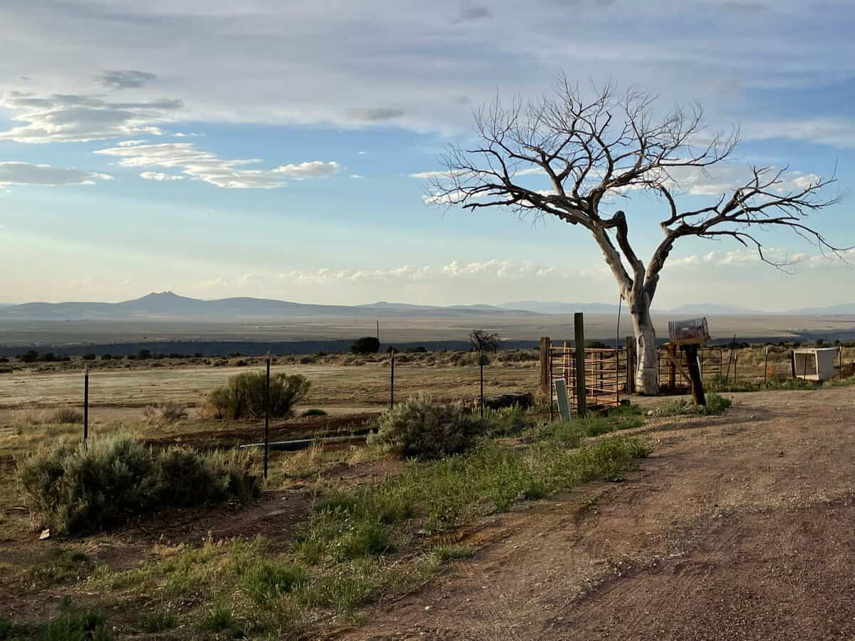 Listening and Engagement Manager