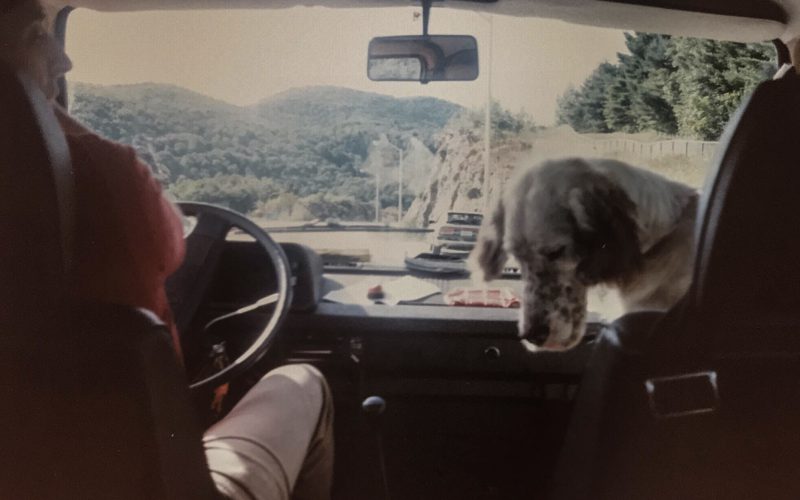 Dog and dad in front seat of retro van