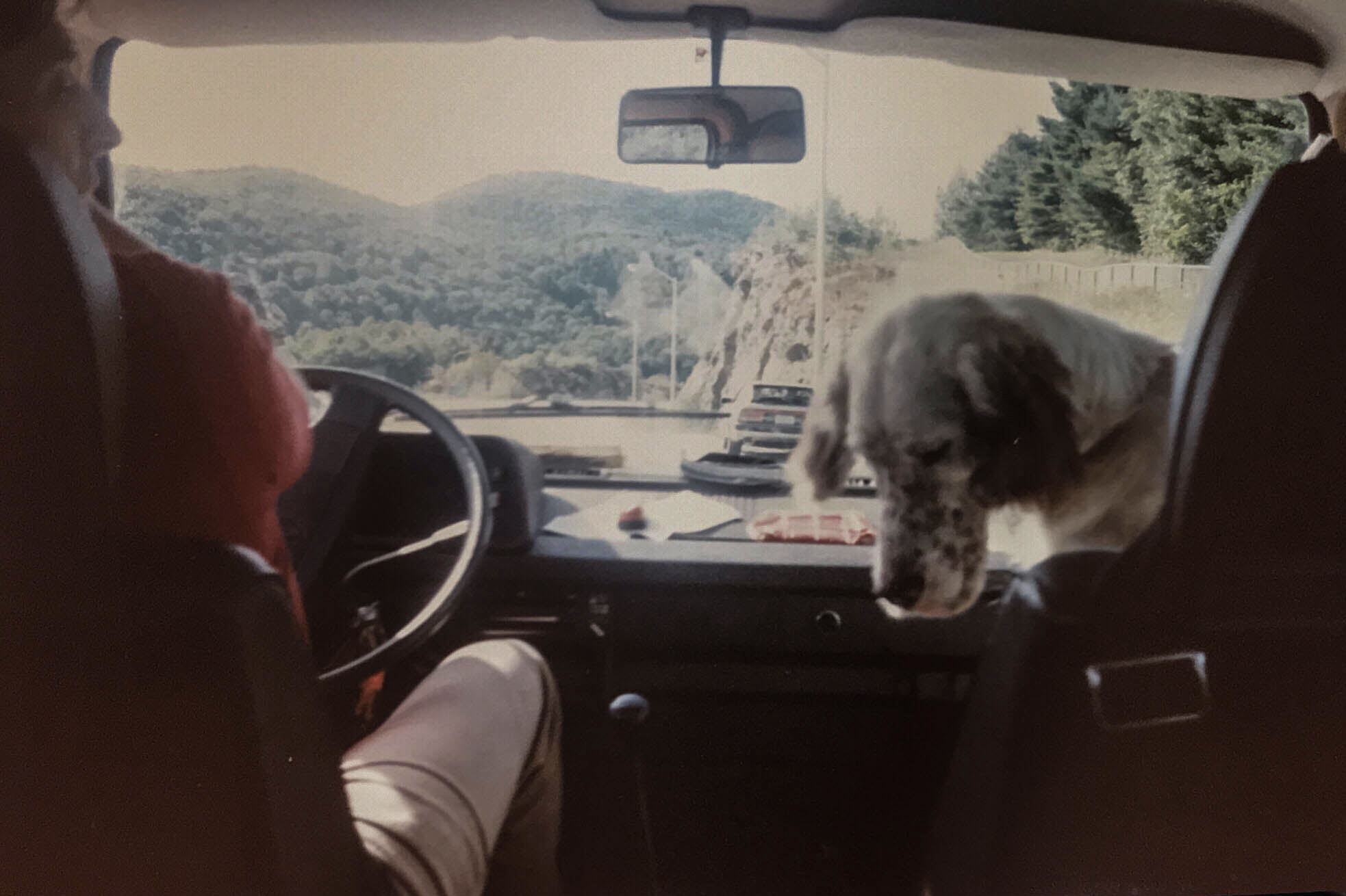 Dog and dad in front seat of retro van