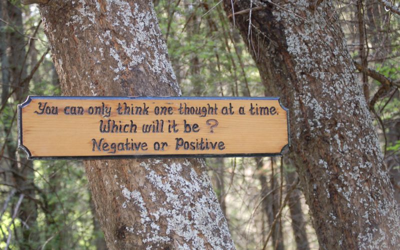 Tree with wooden sign: You can only think one thought at a time. Which will it be? Negative or Positive