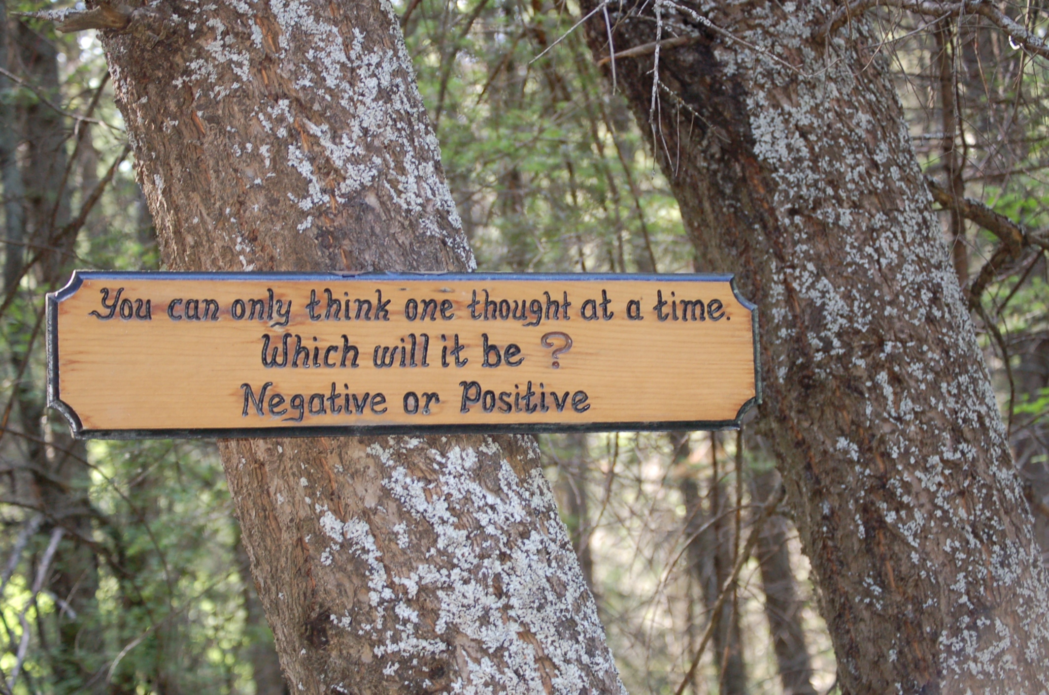 Tree with wooden sign: You can only think one thought at a time. Which will it be? Negative or Positive